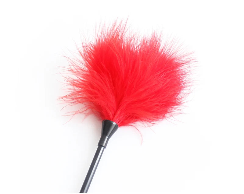 BDSM Feather Whip