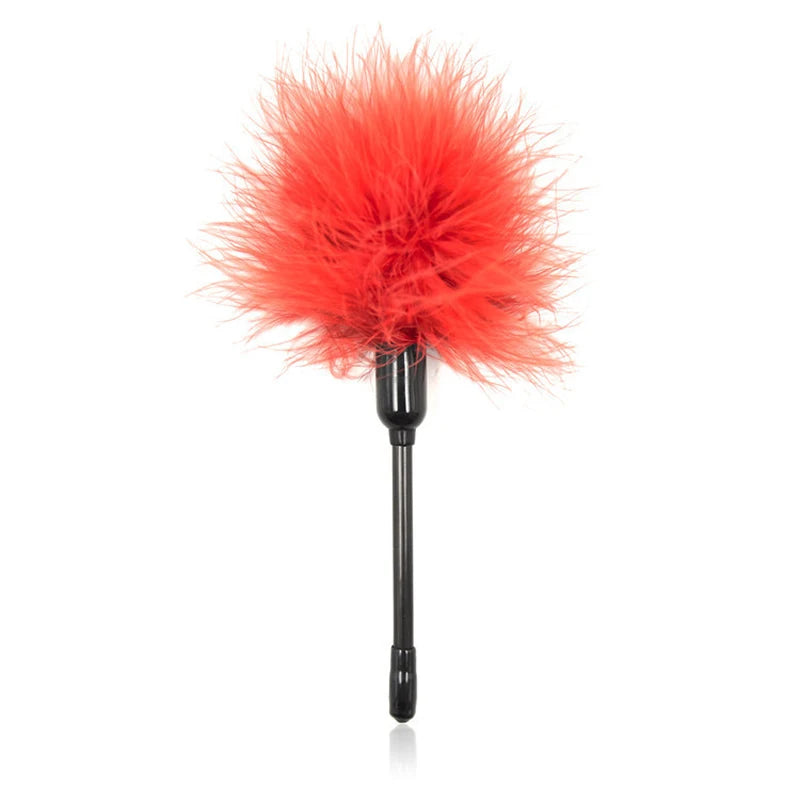 BDSM  Feather Whip