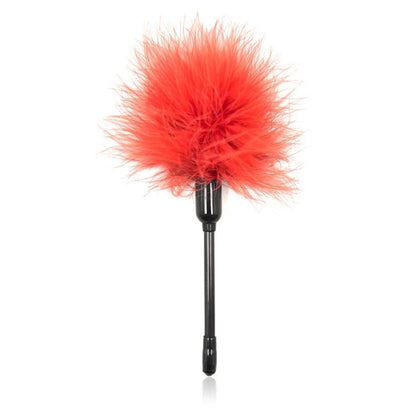BDSM  Feather Whip