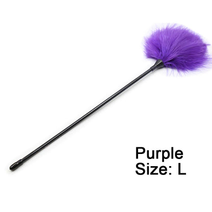 BDSM  Feather Whip