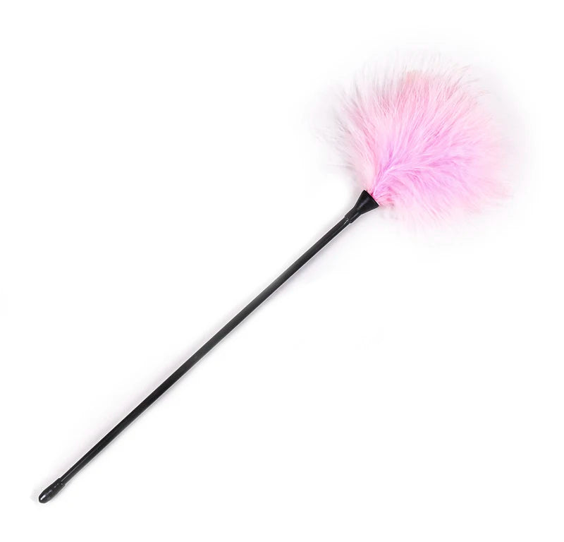 BDSM  Feather Whip
