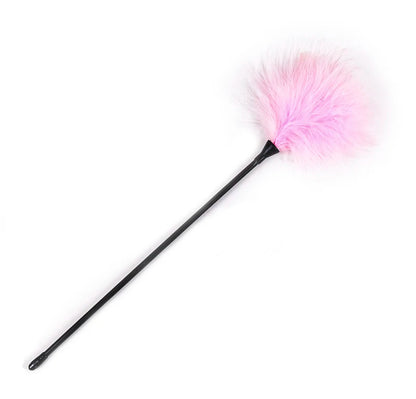 BDSM  Feather Whip