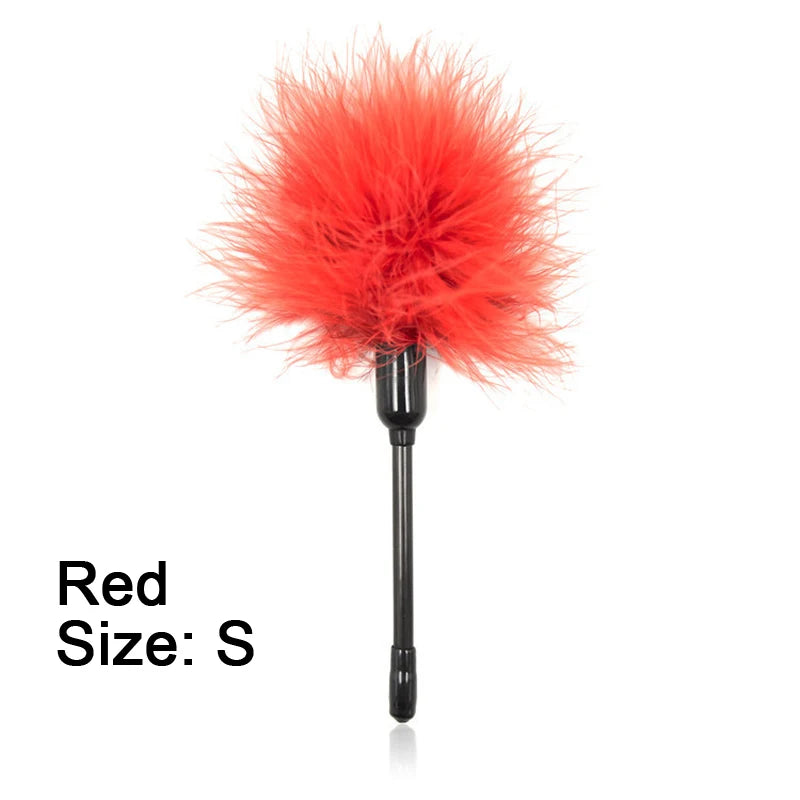 BDSM  Feather Whip
