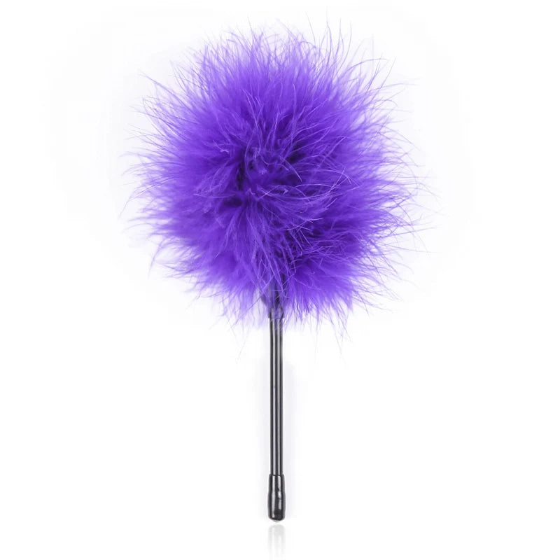 BDSM  Feather Whip